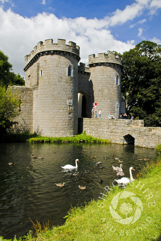 Swans on the moat at Whittington Castle near Oswestry, Shropshire, England.