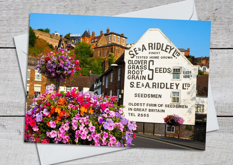 Summer flowers in Low Town, Bridgnorth, Shropshire.
