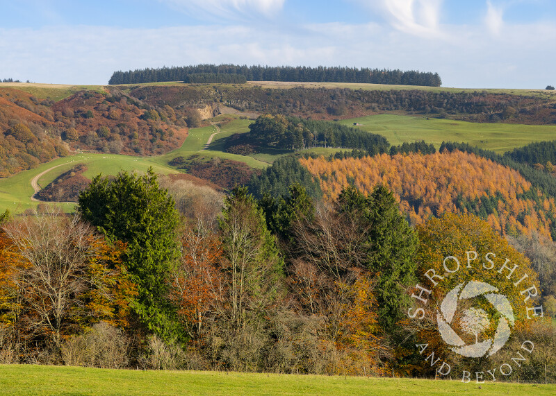 Stow Hill in the Redlake Valley, South Shropshire.