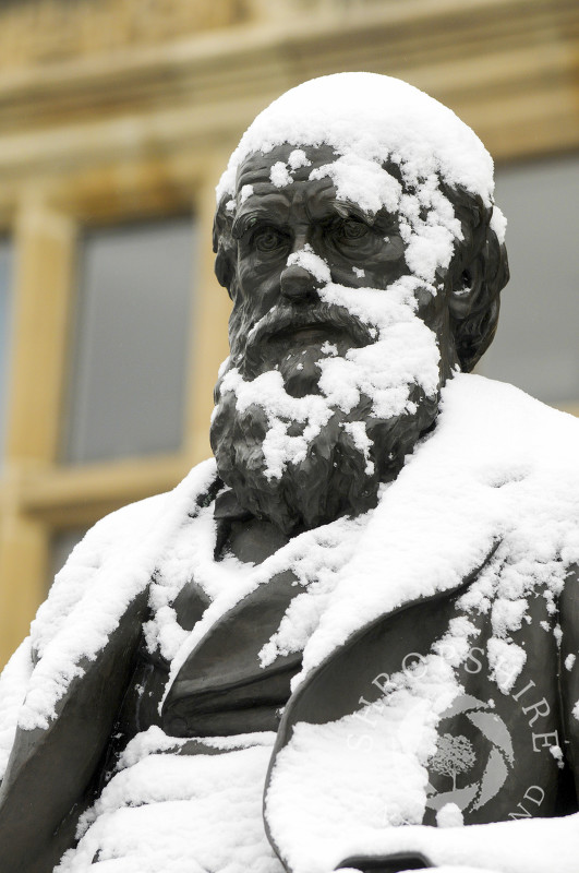 Snow covers the statue of Charles Darwin outside Shrewsbury Library, Shropshire, England.