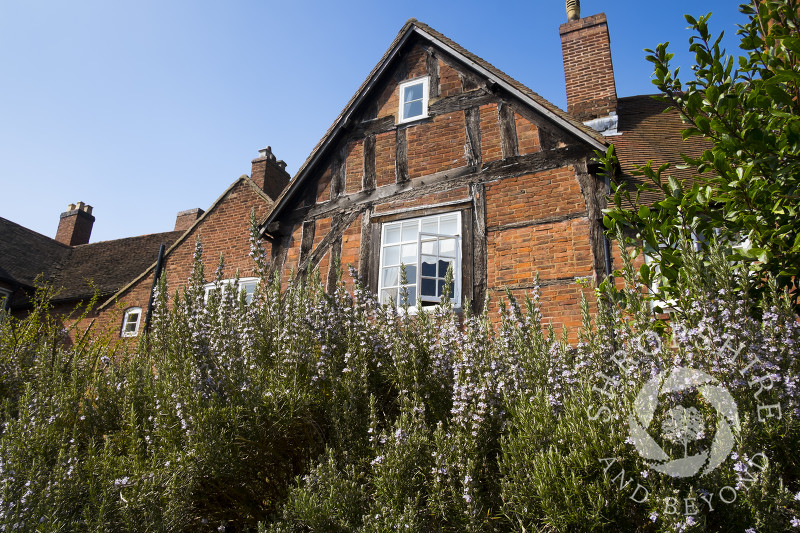 The herb garden at Erasmus Darwin House, Lichfield, Staffordshire, England.