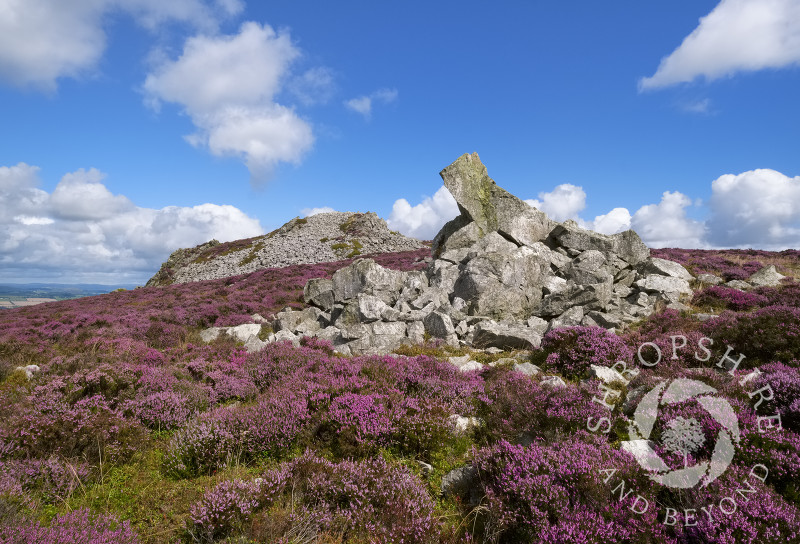 Diamond Rock and Saddle Rock on the Stiperstones, Shropshire.