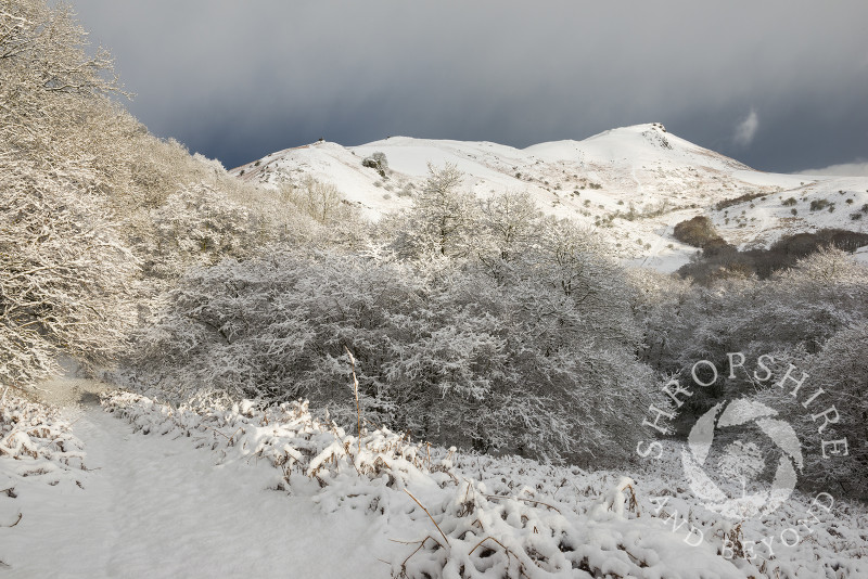 A snow-covered Caer Caradoc at Church Stretton, Shropshire.