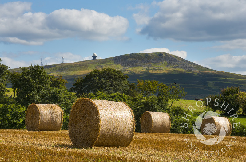 Straw bales beneath Titterstone Clee at Stoke St. Milborough, Shropshire.