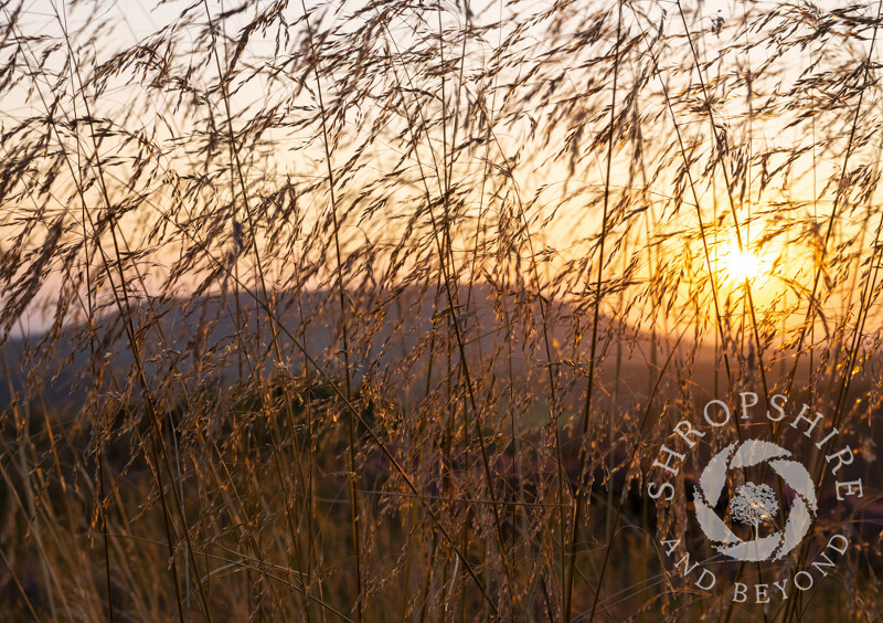 Sunset beside Corndon Hill, seen from the Stiperstones, Shropshire.