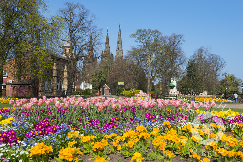 Spring colour in Beacon Park, Lichfield, Staffordshire, England.