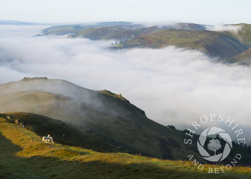 Early morning fog over Church Stretton, seen from Caradoc, Shropshire.