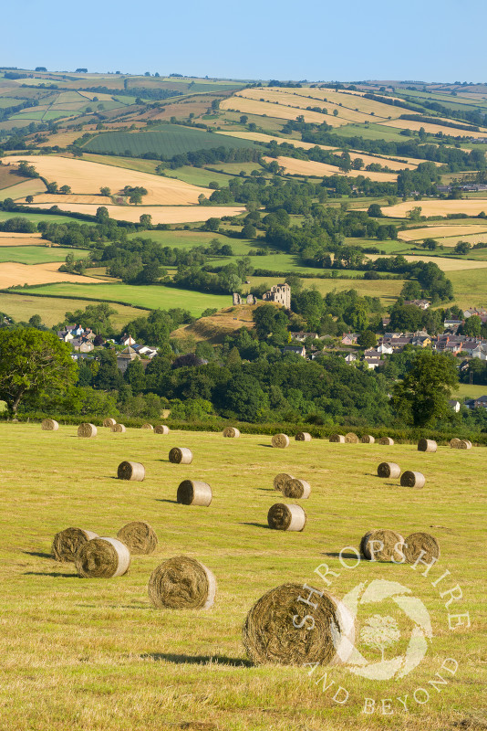 Field of hay bales above the town of Clun, Shropshire.