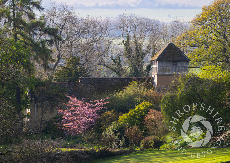 Springtime at St James' Church, near Much Wenlock, Shropshire.