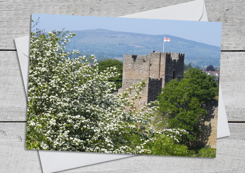 Spring blossom at Ludlow Castle, Shropshire.