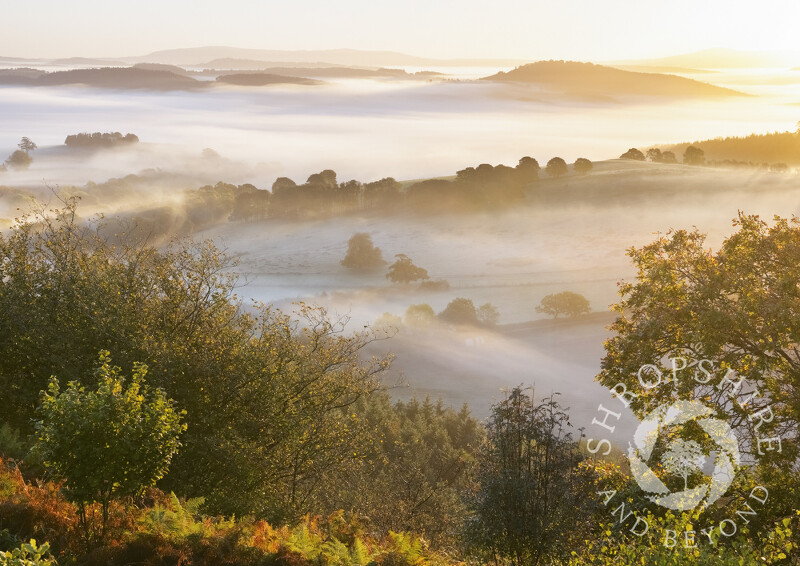 Misty sunrise over south Shropshire from Bury Ditches.