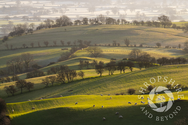 The view along Willstone Hill, near Church Stretton, Shropshire.