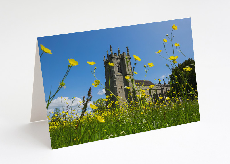 Buttercups at St Mary's Church, Battlefield, Shrewsbury, Shropshire.