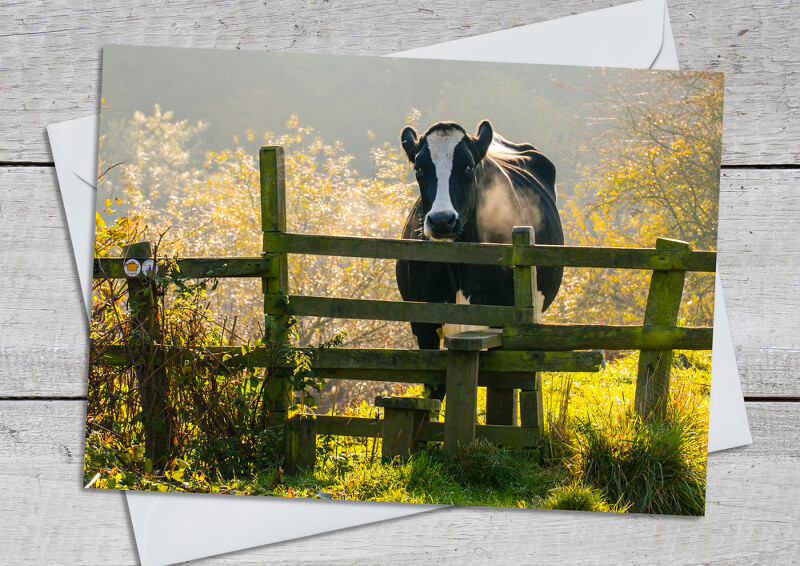 Guarding the Severn Way near Bridgnorth, Shropshire.