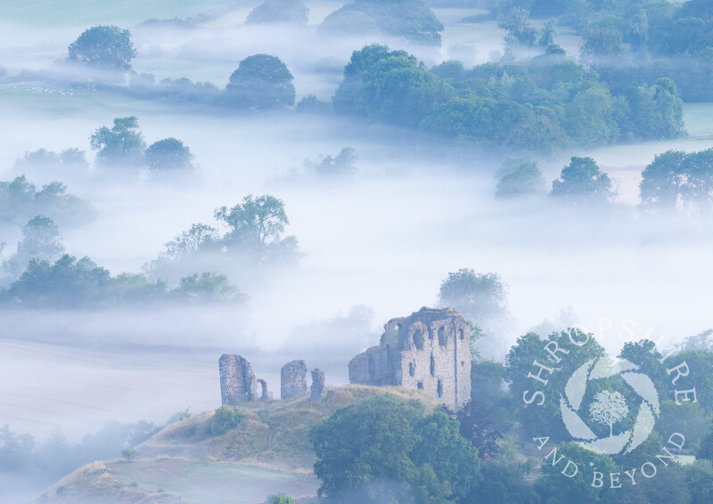 Dawn mist surrounds Clun Castle, Shropshire.