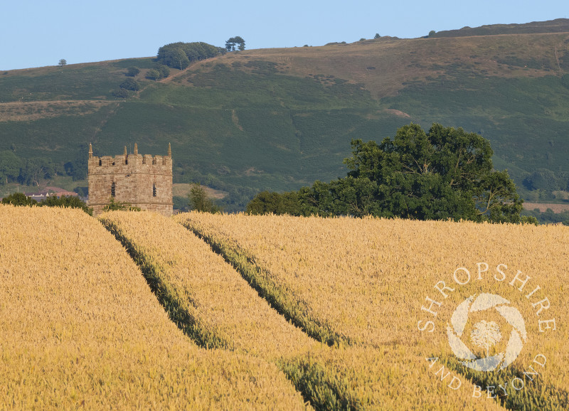 Holy Trinity Church at Holdgate, overlooked by Brown Clee Hill, Shropshire.