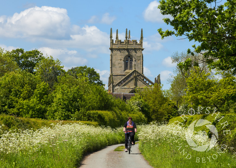 A cyclist on a country lane near St Mary Magdalene's Church at Battlefield, near Shrewsbury, Shropshire.