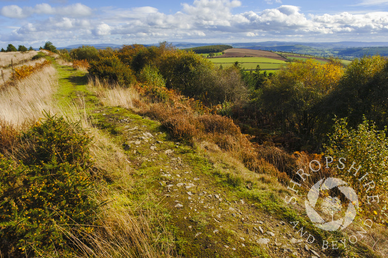 A path along Bury Ditches Iron Age Hill Fort, Clun, Shropshire, England.