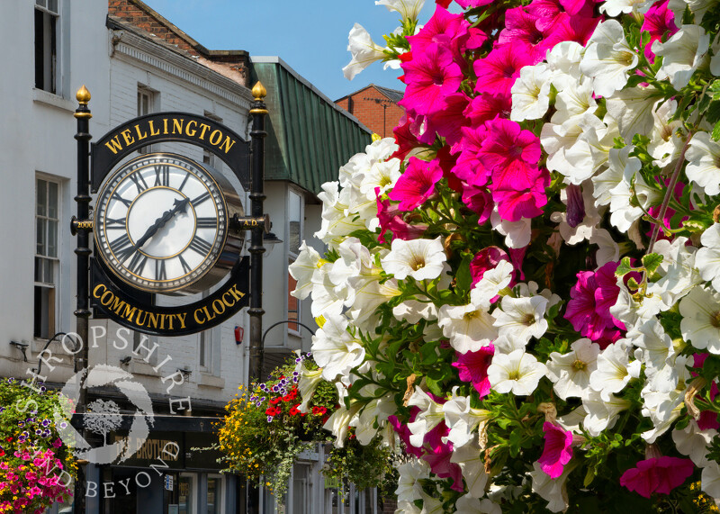 Flowers in Market Square, Wellington, Shropshire.