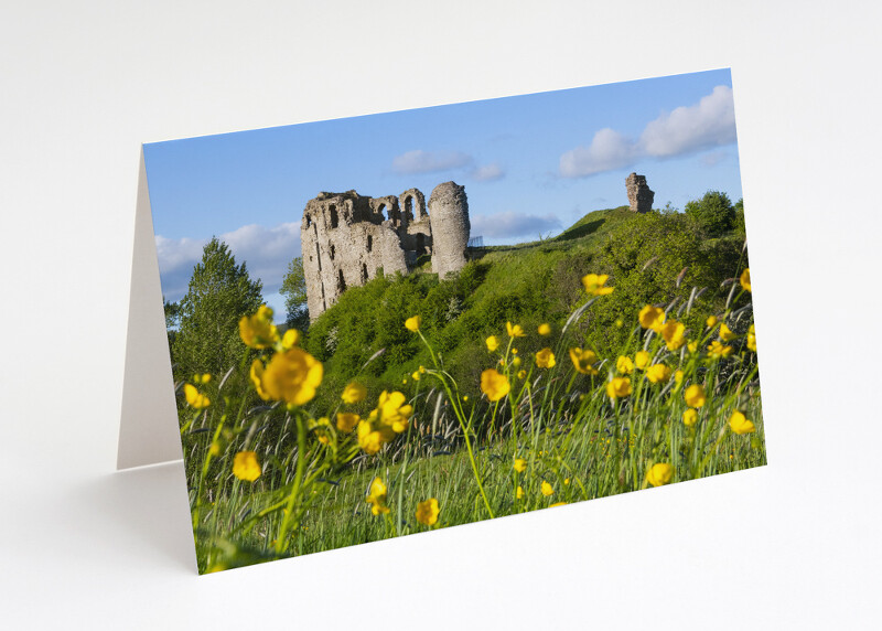 Clun Castle and buttercrups, Shropshire.