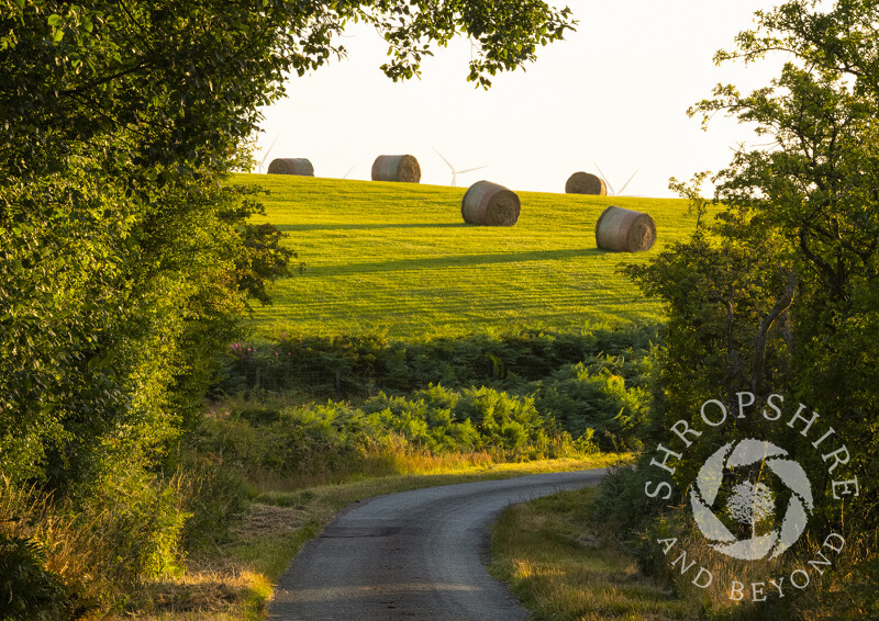 Straw bales seen from a lane at Bettws y Crwyn, Shropshire.