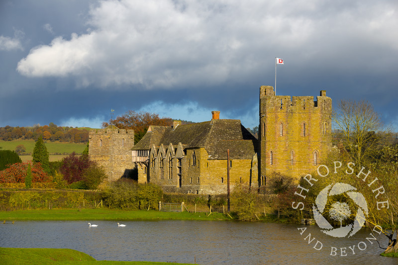 Autumn colour as swans glide past the fortified medieval manor house of Stokesay Castle and the Church of St John the Baptist, Shropshire, England.