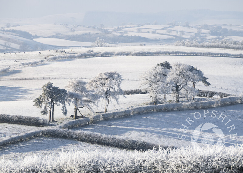 Countryside near Five Turnings in the Redlake Valley, seen from Caer Caradoc, Shropshire.