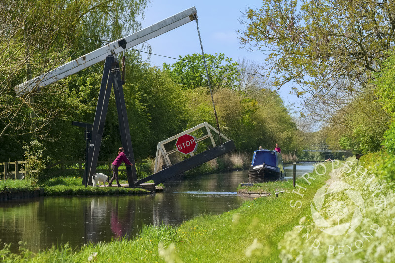 A narrowboat passes under Morris's Lift Bridge on the Llangollen Canal near Whixall Moss, north Shropshire.