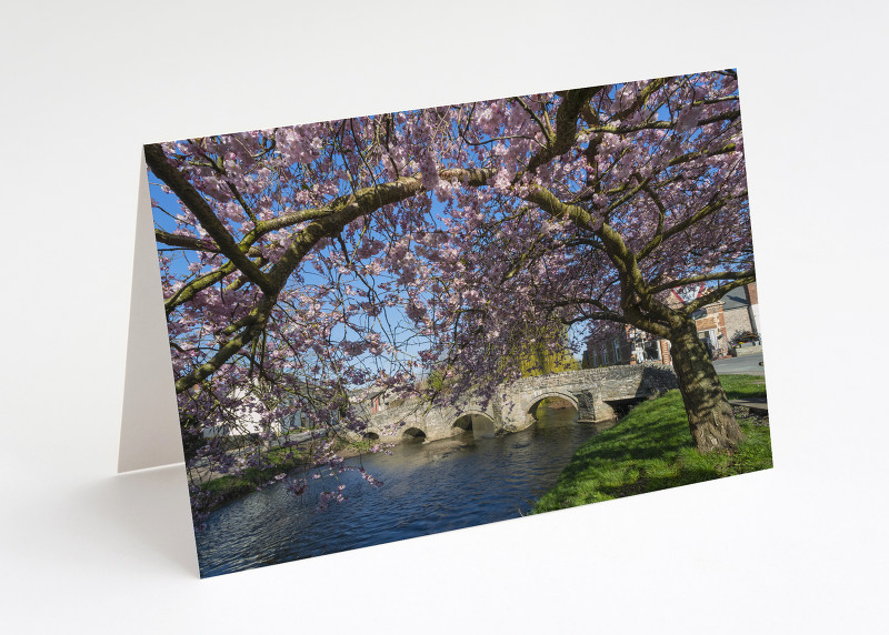 Spring blossom at Clun, Shropshire.