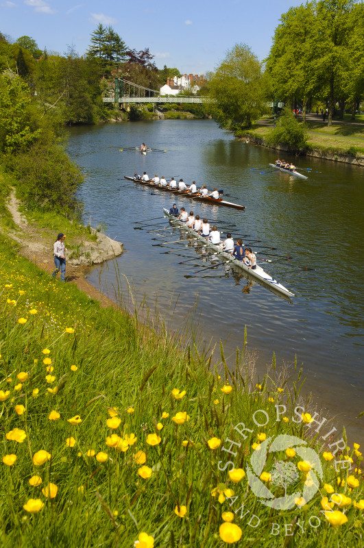 Rowing boats on the River Severn during Shrewsbury Regatta, Shropshire, England.
