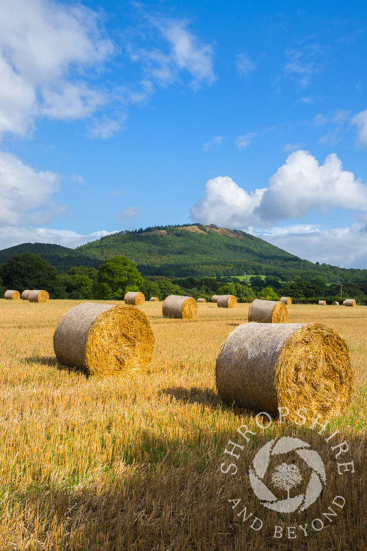 Harvest time beneath the Wrekin in Shropshire.