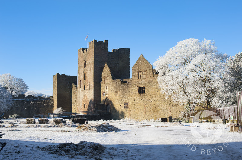 The grounds of Ludlow Castle under a layer of hoar frost, Shropshire, England.