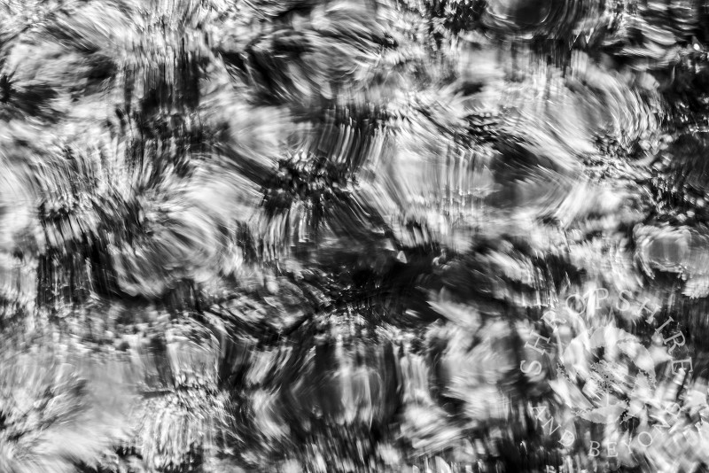 Trees reflected in the water of the Llangollen Canal at Ellesmere, Shropshire.