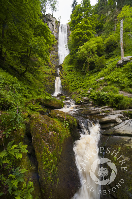 Pistyll Rhaeadr waterfall in the Berwyn Mountains, Powys, Wales.