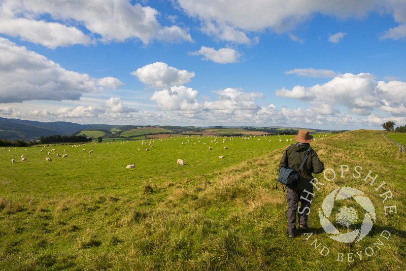 A walker on Offa's Dyke near Knighton, Powys, Wales. This earthwork boundary was built along the Anglo-Welsh border by Offa, King of Mercia, probably during the 780s.