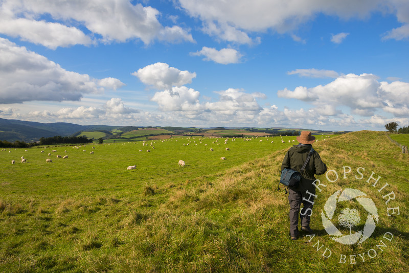 A walker on Offa's Dyke near Knighton, Powys, Wales. This earthwork boundary was built along the Anglo-Welsh border by Offa, King of Mercia, probably during the 780s. 