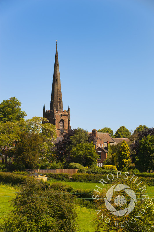 The church of St Mary and St Chad in the village of Brewood, Staffordshire, England.