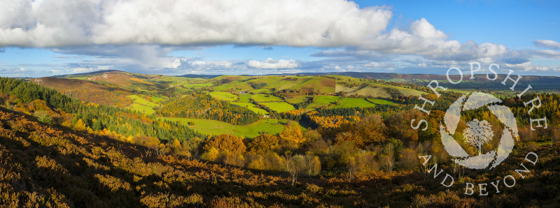 Panoramic view of Shropshire seen from Heath Mynd, near Bishop's Castle. On the horizon are, from left, the Stiperstones, Linley Hill and the Long Mynd.
