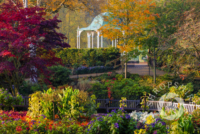 Autumn colour in the Dingle, Shrewsbury, Shropshire, England.