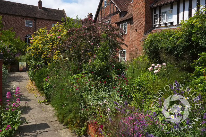 The herb garden at Erasmus Darwin House in Lichfield, Staffordshire, England.