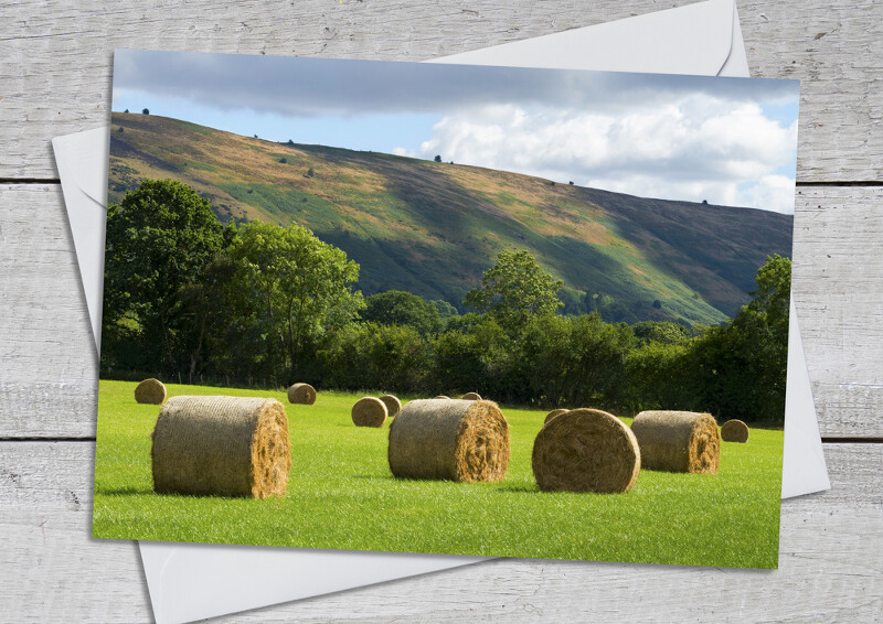 Hay bales beneath the Long Mynd, Shropshire.