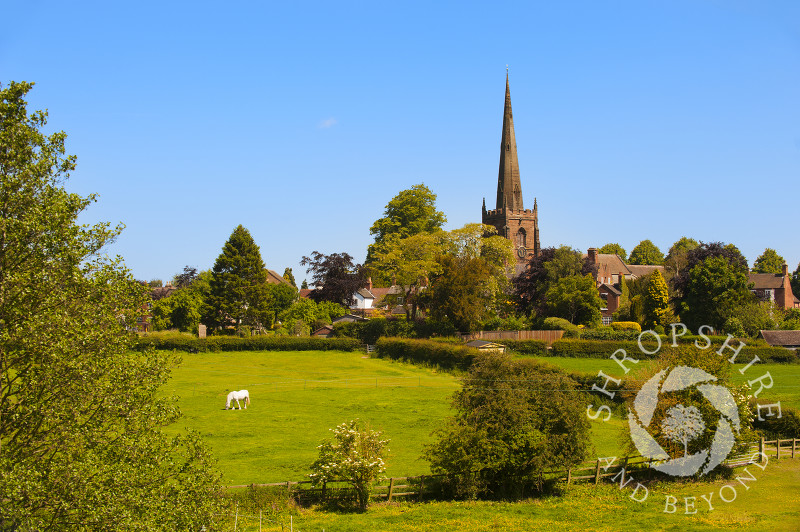 The church of St Mary and St Chad in the village of Brewood, Staffordshire, England.