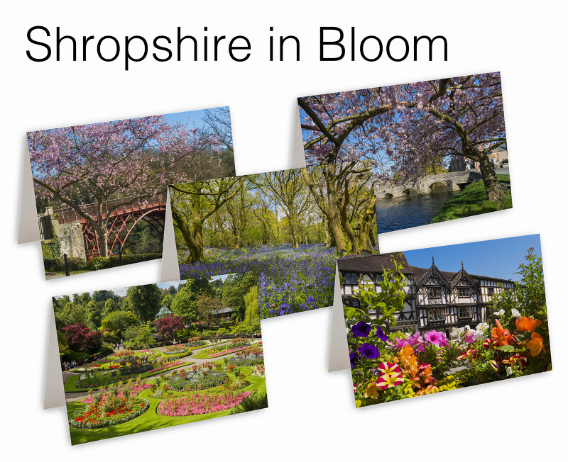 5 Shropshire in Bloom Greetings Cards