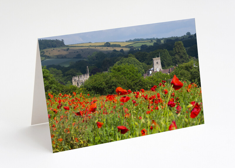 Poppy field at Much Wenlock, Shropshire