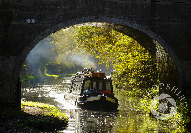 A canal boat on the Shropshire Union Canal at Brewood, Staffordshire, England.