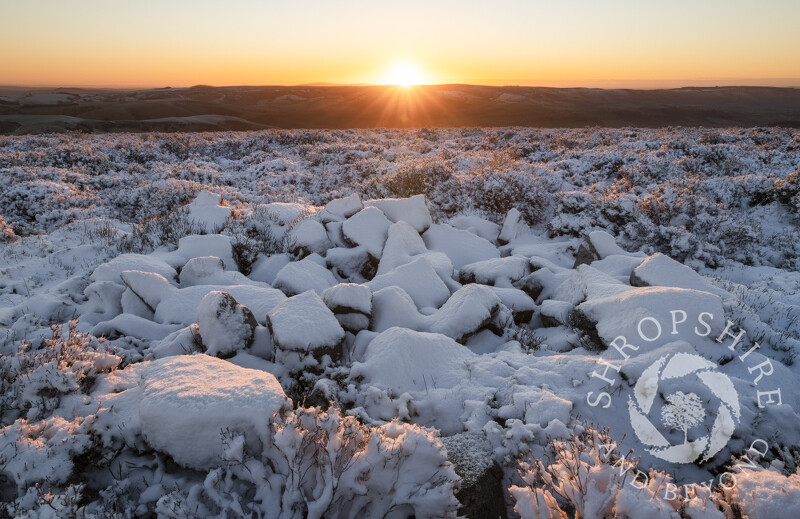 Sunrise over the Long Mynd, seen from the Stiperstones, Shropshire.