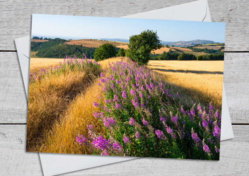 Offa's Dyke at Mainstone, near Bishop's Castle, Shropshire.
