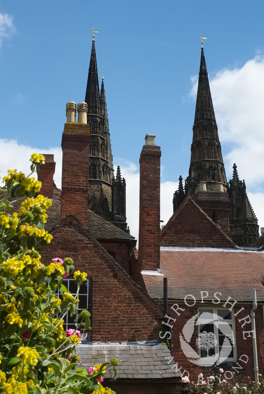 The spires of Lichfield Cathedral seen from the garden of Erasmus Darwin House in Lichfield, Staffordshire, England.