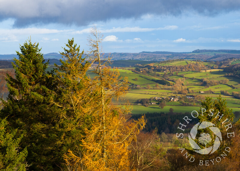 The view from Bury Ditches Iron Age hill fort to Brunslow and Wenlock Edge, Shropshire.