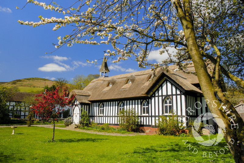 All Saints' Church in spring, Little Stretton, Shropshire.